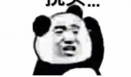 张小寒最新爆料向佐,真相究竟如何？