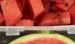 吃瓜网红照片大全,揭秘娱乐圈幕后故事