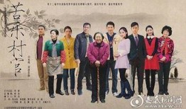 苦乐村官在线观看,见证农村变迁的基层奋斗者